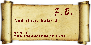 Pantelics Botond névjegykártya